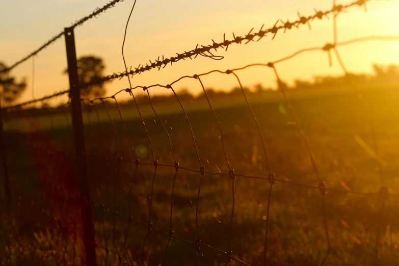 a wire fence is seen in the foreground as the sun sets