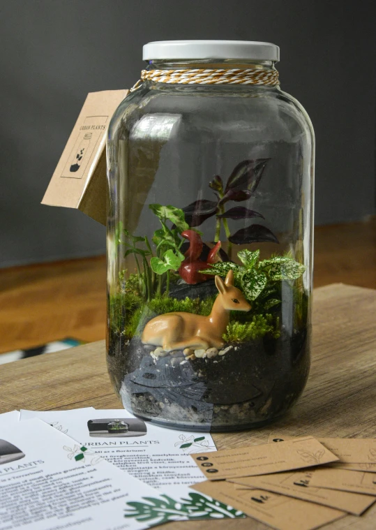 a close up of a glass jar filled with water