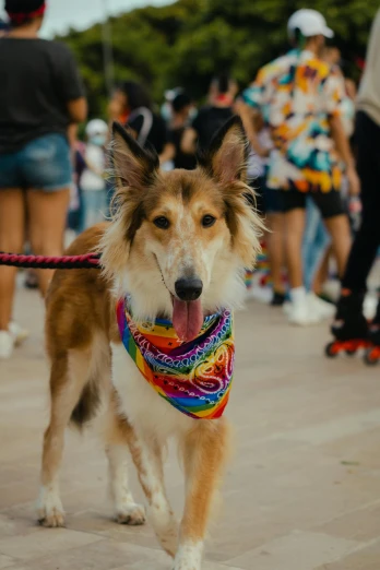 a dog with a bandana tied to its neck