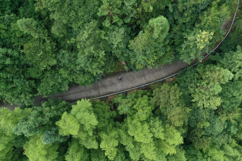 an overhead view of the path through the woods