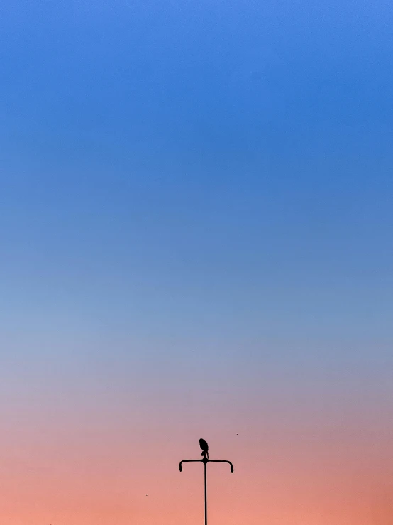 a bird perched on top of a pole next to the sun