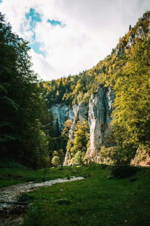 a scenic view of a valley in a forested area