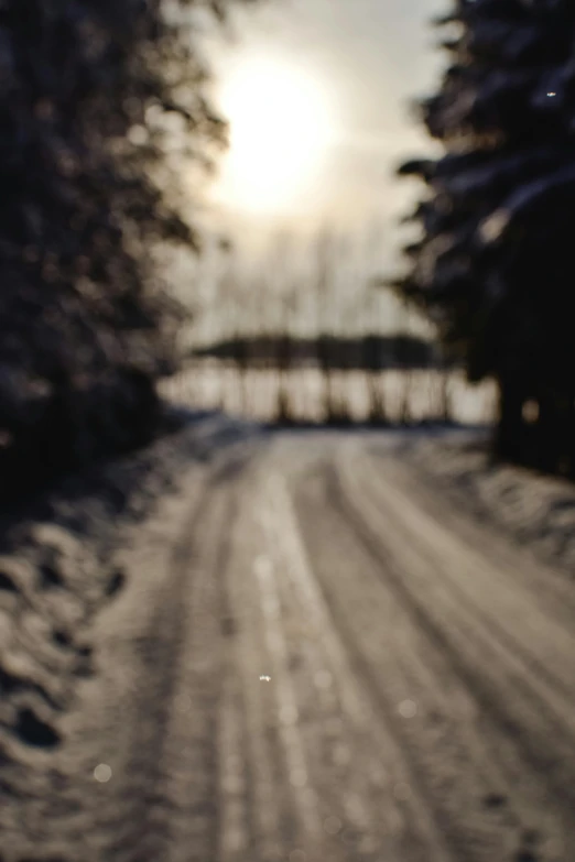 there is snow on the road and snow is in the trees