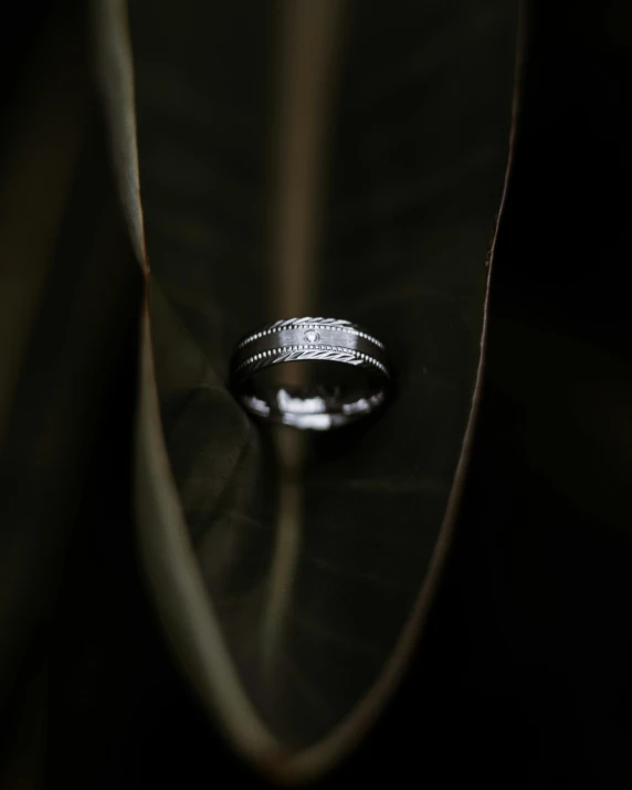 the ring is setting on the surface of a green leaf