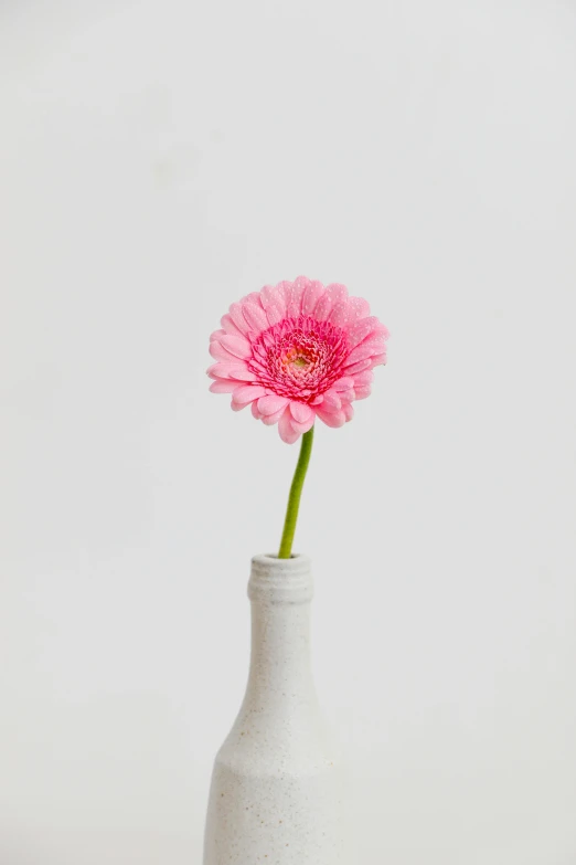 a white vase with a pink flower in it