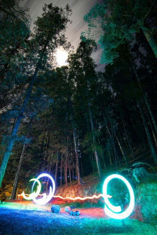 some colorful lights in the woods near trees