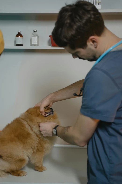 a man petting a small dog in the bath tub