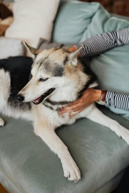 a woman holding and petting a dog laying down