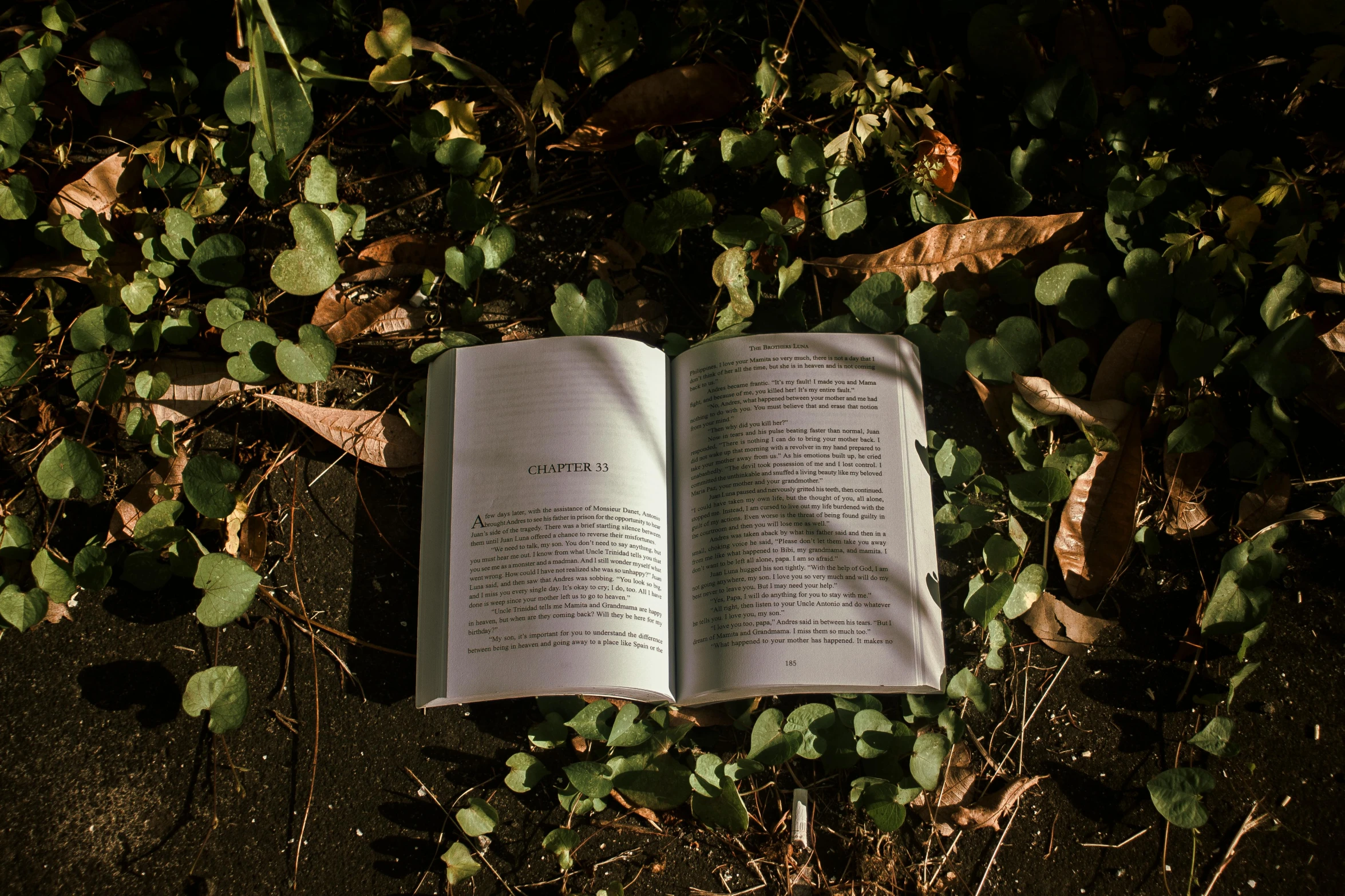 an open book is laying in the ground surrounded by leaves