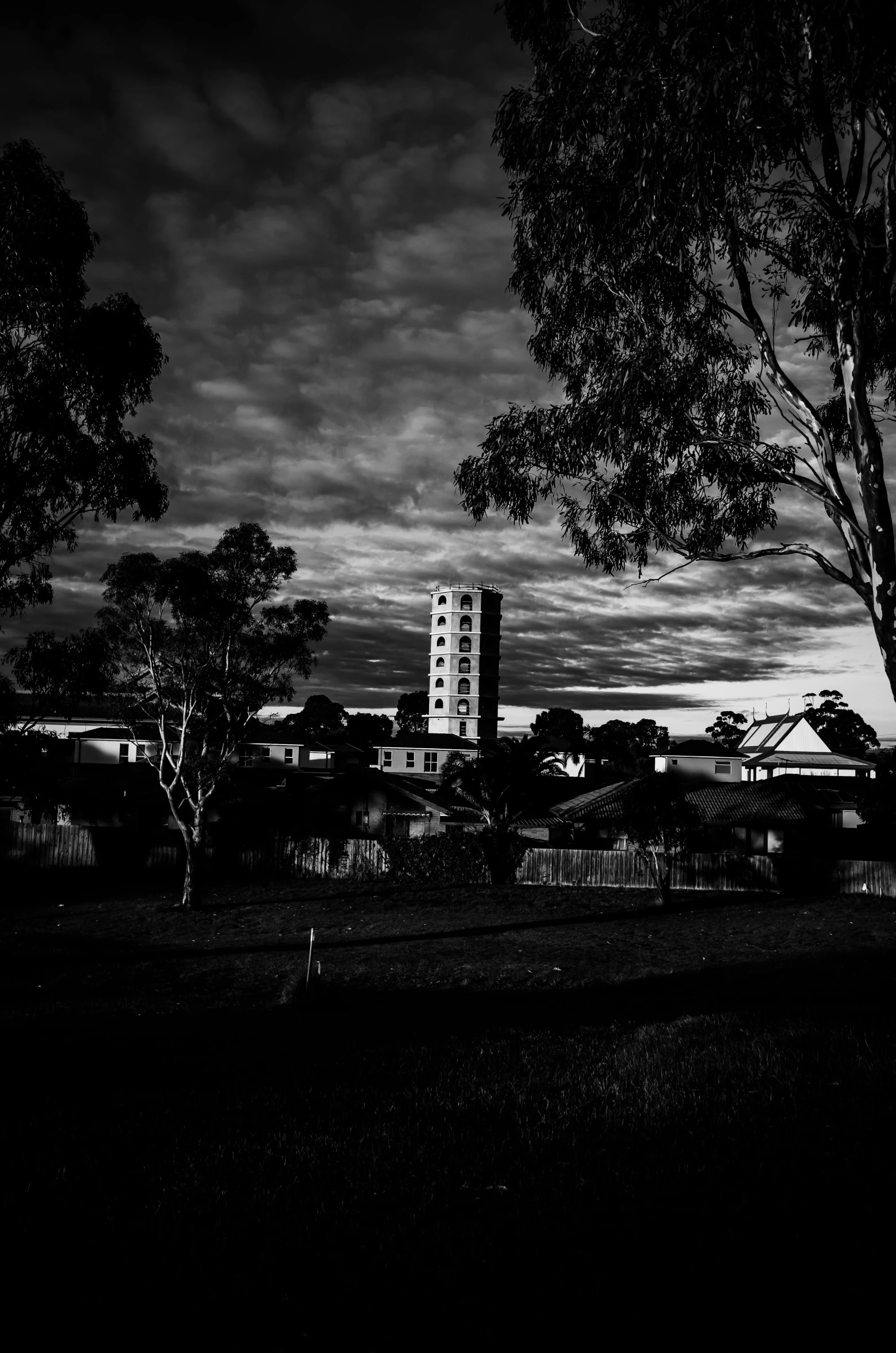 this black and white po shows a tower with trees