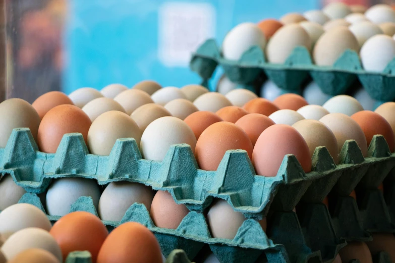 several trays with white and brown eggs in them