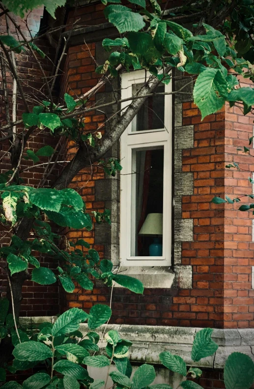 the open window in a brick building shows a cat in a blue chair