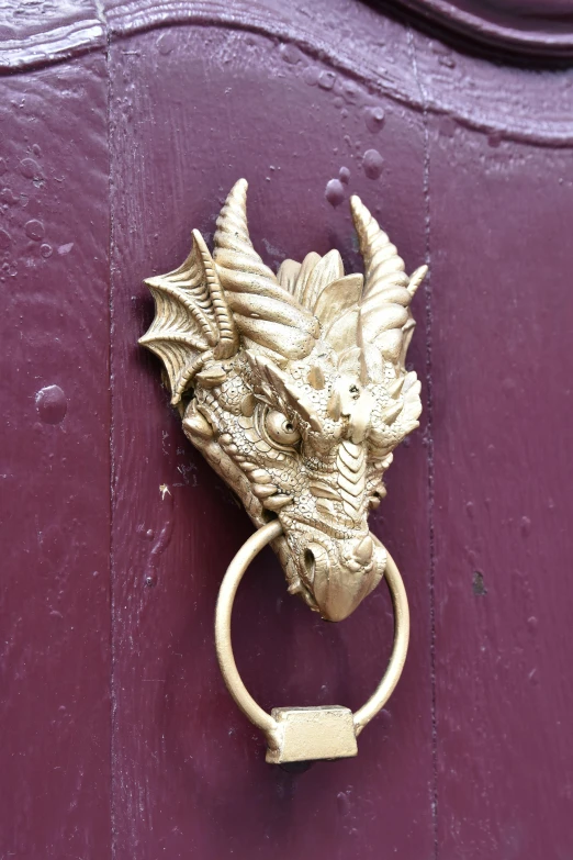 there is a ss colored dragon head door knocket