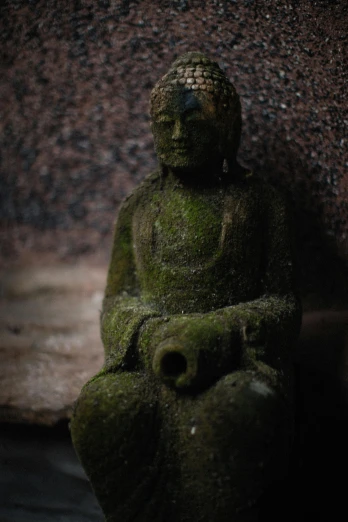 a close up of a buddha statue with moss