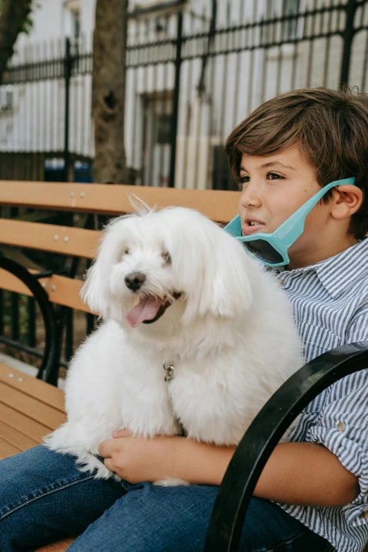 a little boy and a white dog sitting on a bench