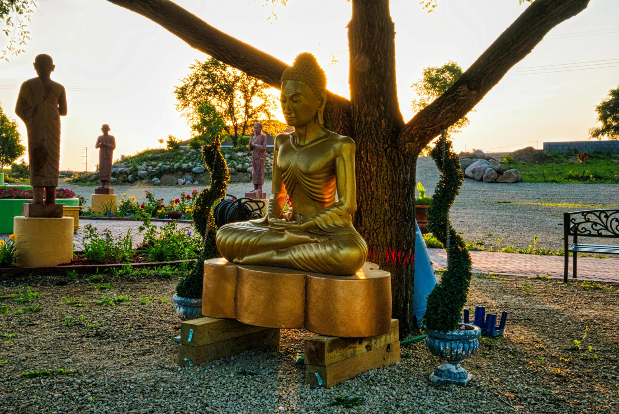 the golden buddha statue is located by a tree