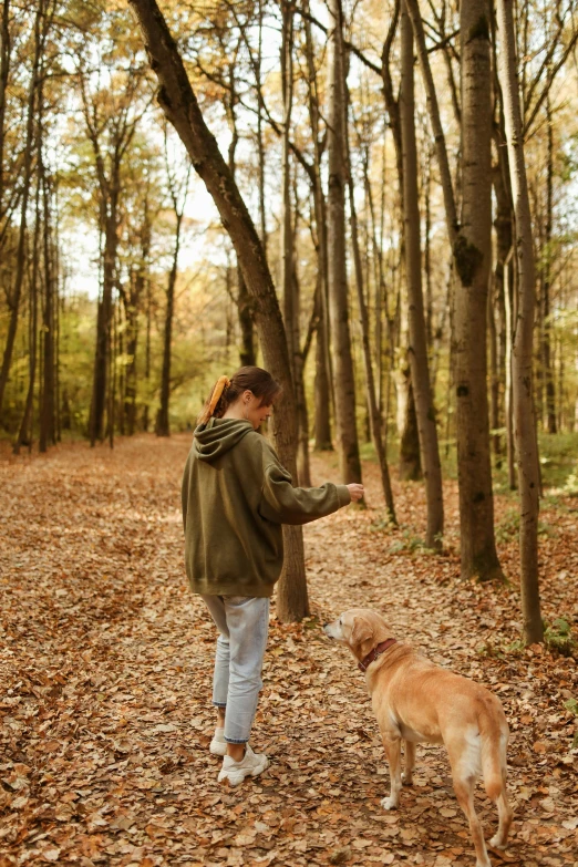 a woman is walking through the forest with a dog