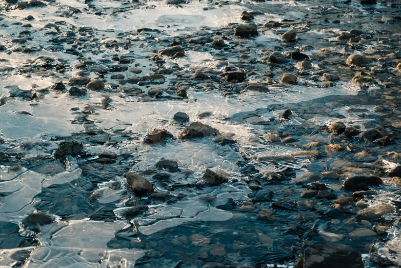 small rocks are on the bottom of a pool of water