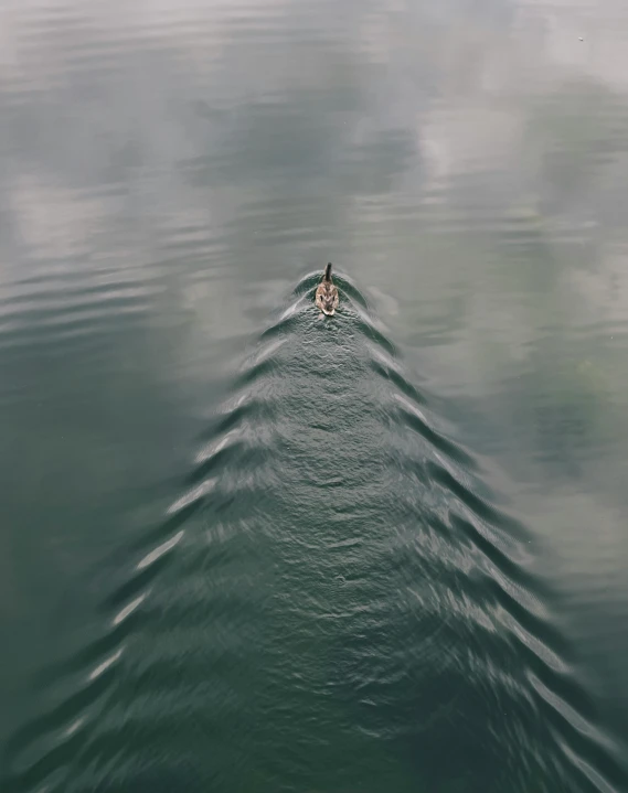 a lone canoe is traveling on calm water