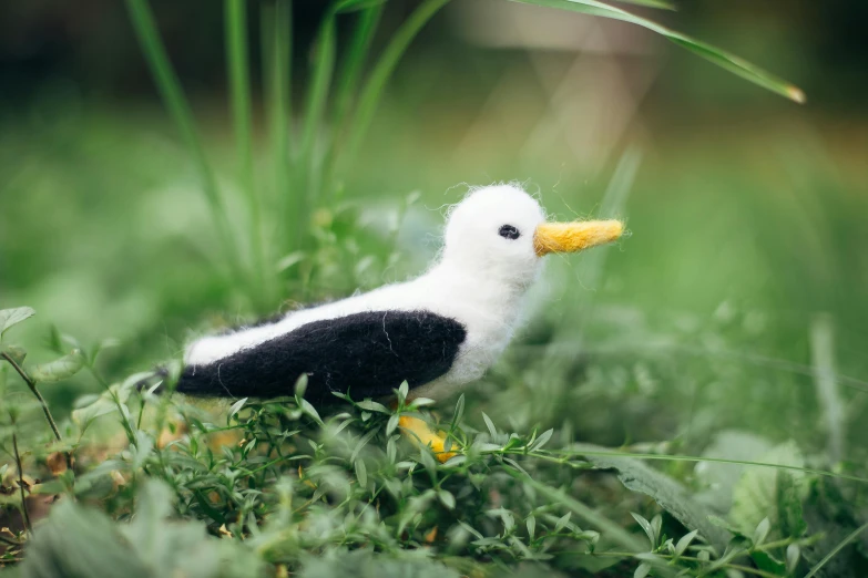 there is a small bird that is sitting in the grass