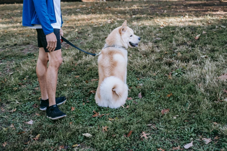 a person standing by a dog on a leash