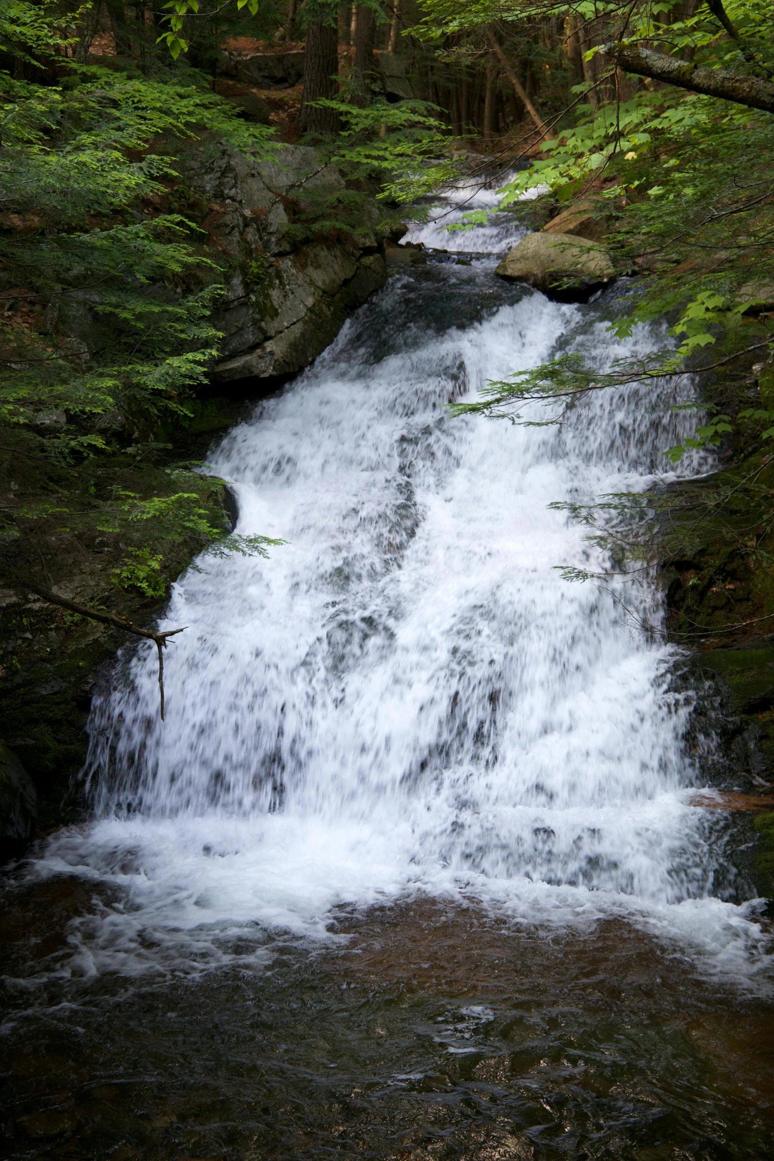 a small waterfall next to some water in the forest