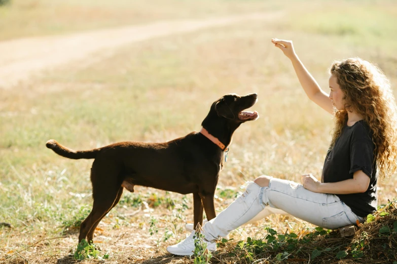 woman sitting on ground next to dog in grassy field