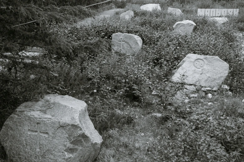 black and white po of large rocks and plants