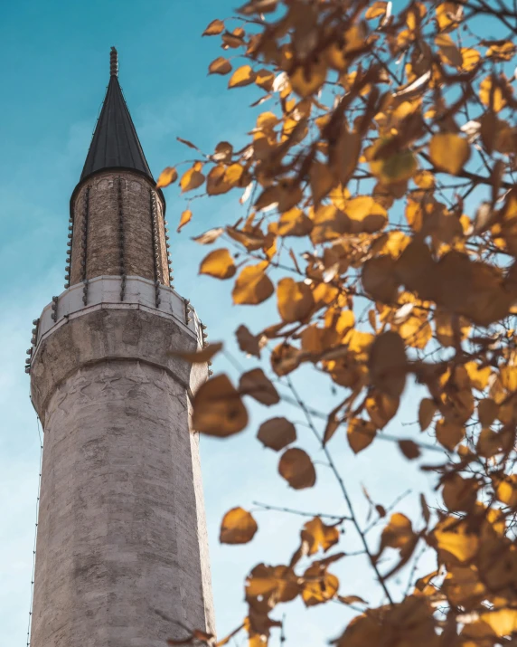 a tall light house is surrounded by leaves