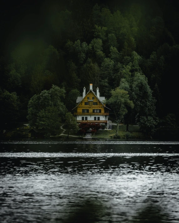 house built along the lake with trees in front