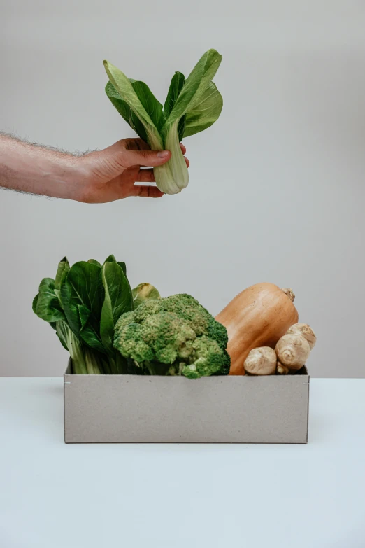 a hand reaches out to grab soing above vegetables