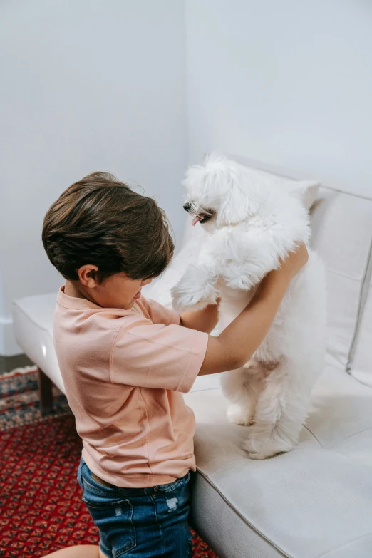 a little boy holding a white fluffy dog on a couch