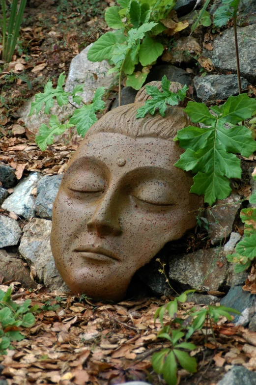 an outdoor head statue laying on the ground