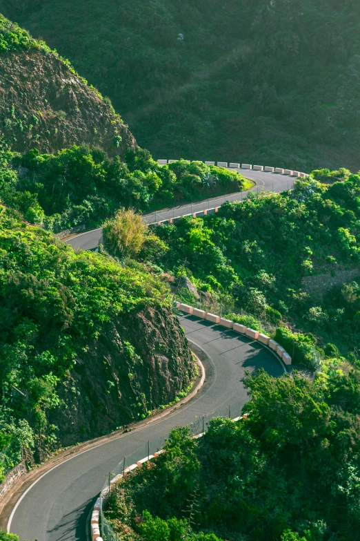 a road on the side of some lush green hills