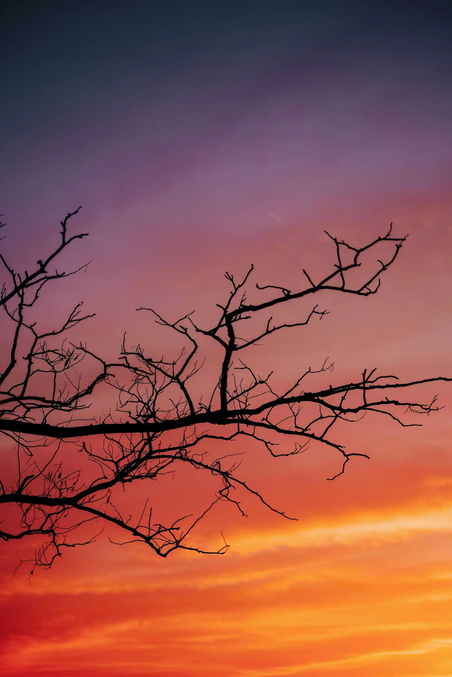 a sunset with no trees in sight, and a red sky in the background