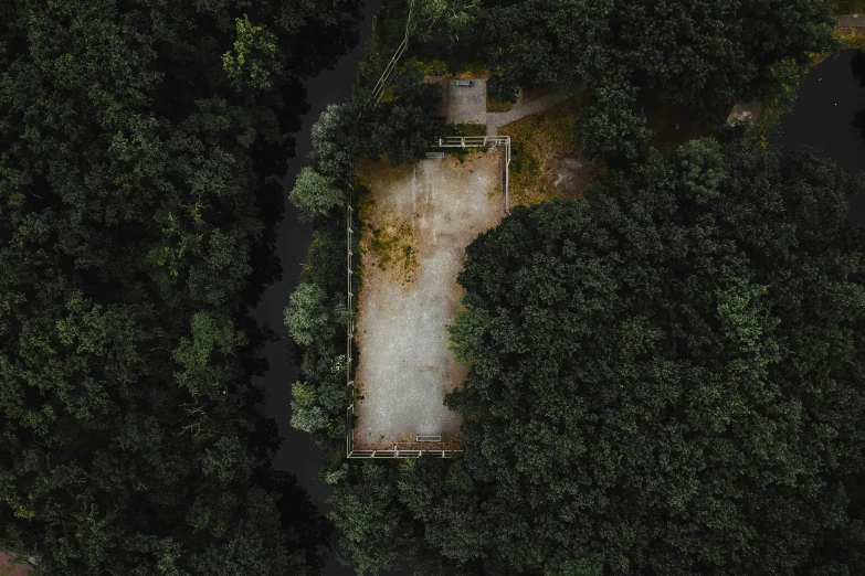 an aerial view of the woods and road