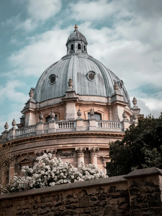 the dome on top of a building is adorned with flowering nches