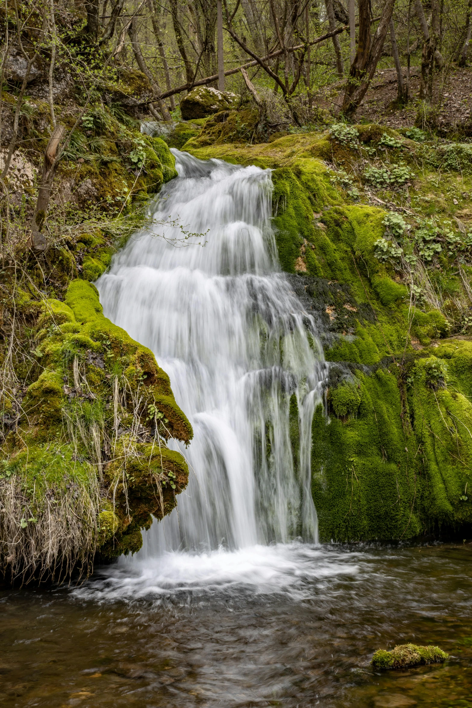 a small waterfall near some mossy trees