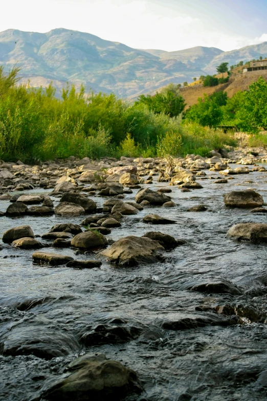 rocks laying across the river for crossing