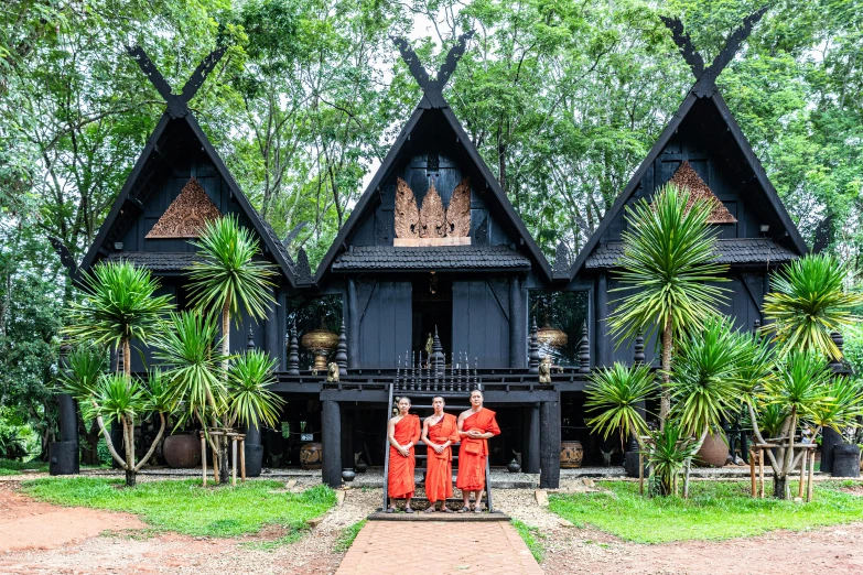 the architecture of several triangular wooden huts