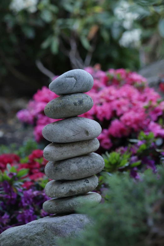 many rocks stacked on top of each other in front of flowers