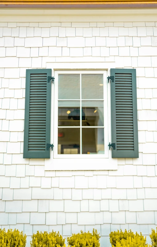 a window with blue shutters on a white building