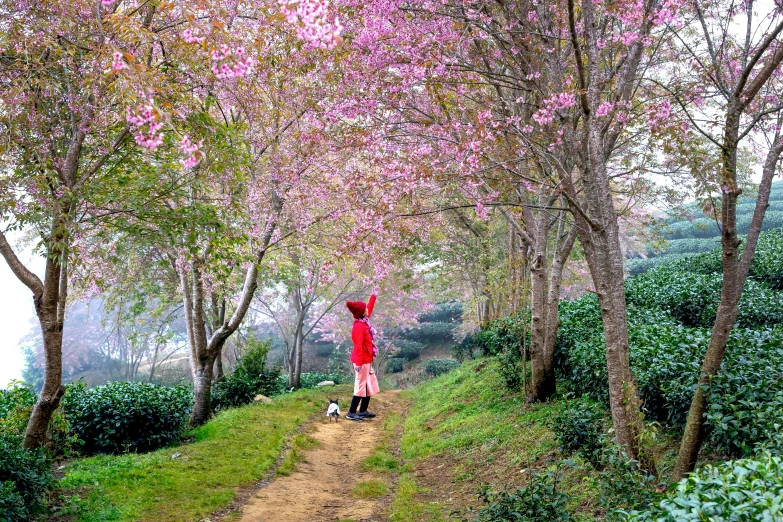 a person wearing a hat and some bushes and trees