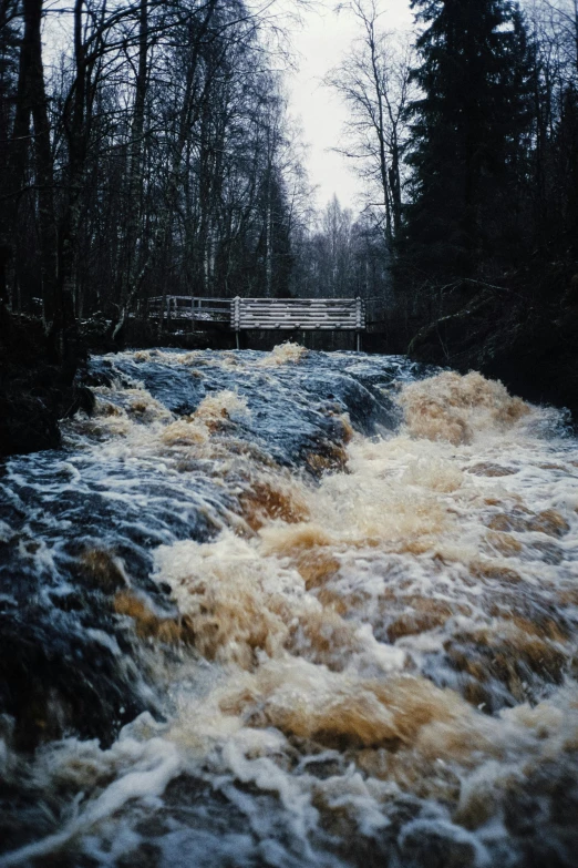 a river with brown water surrounded by trees