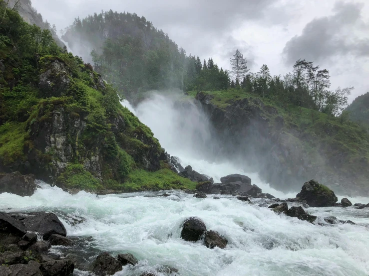 a river with water flowing on it near a forest