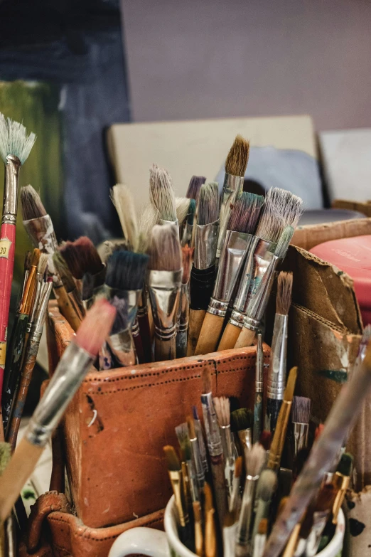 a collection of different brushes sitting inside of a bag