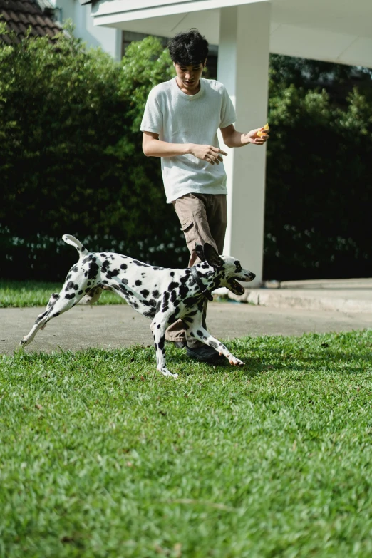 the dog is chasing a man with a frisbee