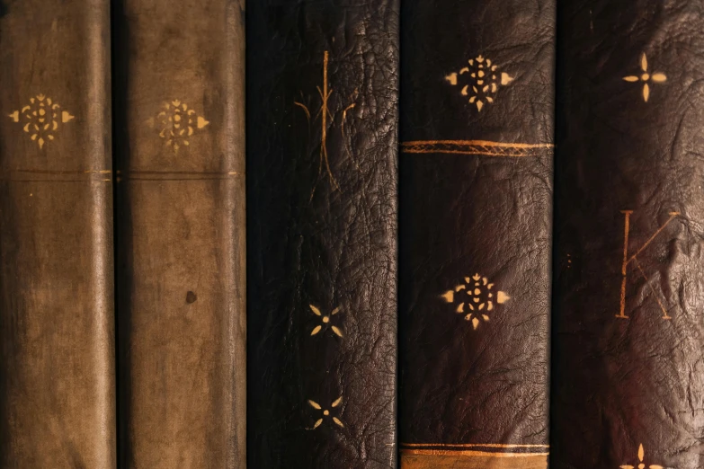 several large leather books lined up on a shelf