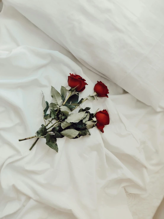 four red roses that have fallen out on a bed