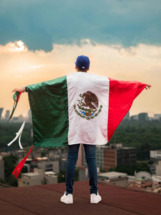 a man holding up a flag as he looks out over the city